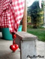 /album/fenykepgaleria/a10499628-780855015293221-2816445187622726842-o-jpg/