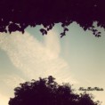 /album/fenykepgaleria/instacam-2014-06-09-07-47-15-du-jpg-jpg/